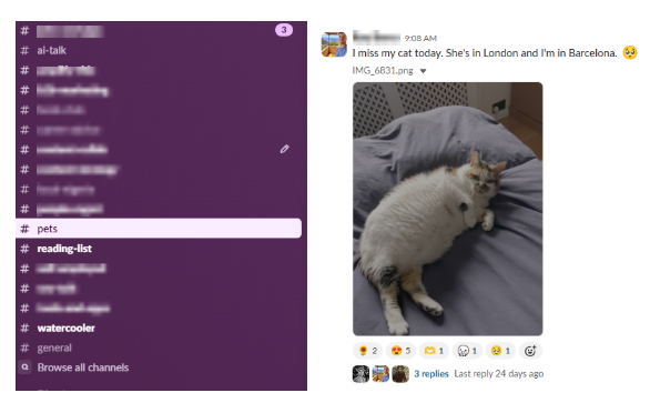 Screenshot of a Slack channel.