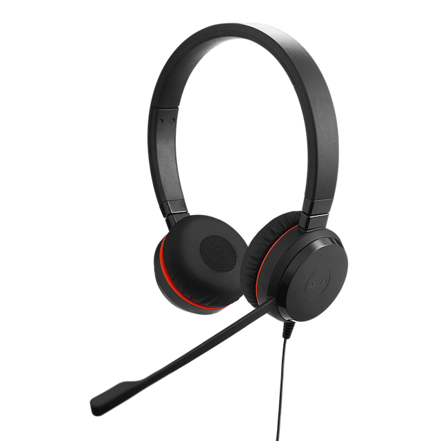 Jabra Evolve 20 Stereo / Mono Image